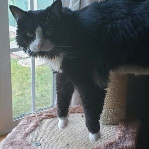 Meet your Posher, Susan